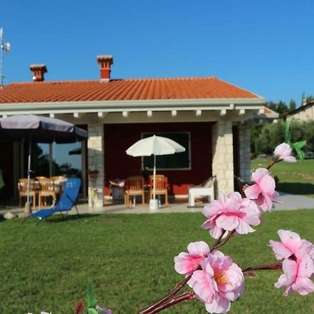 Apartmán Rosa Dei Venti Sul Garda Bardolino Exteriér fotografie