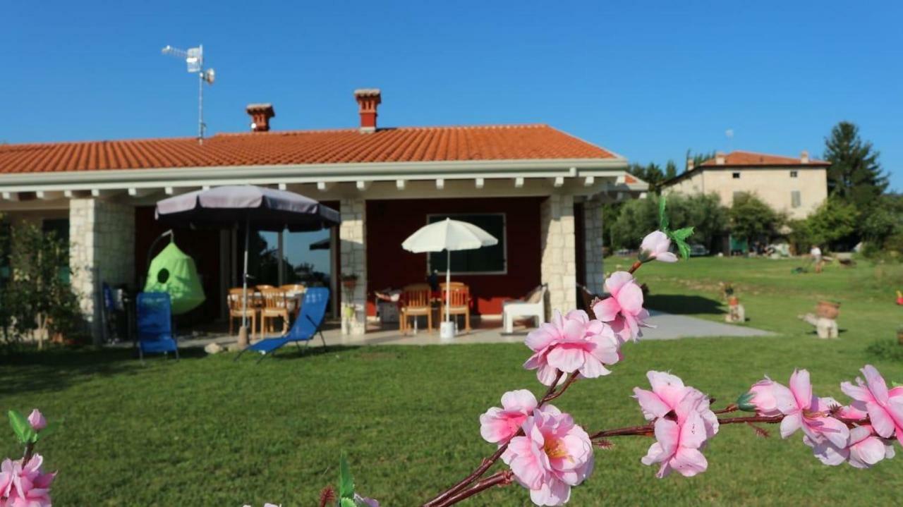 Apartmán Rosa Dei Venti Sul Garda Bardolino Exteriér fotografie
